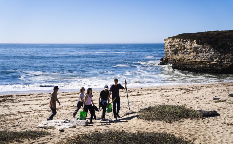 Students on the beach collecting samples.