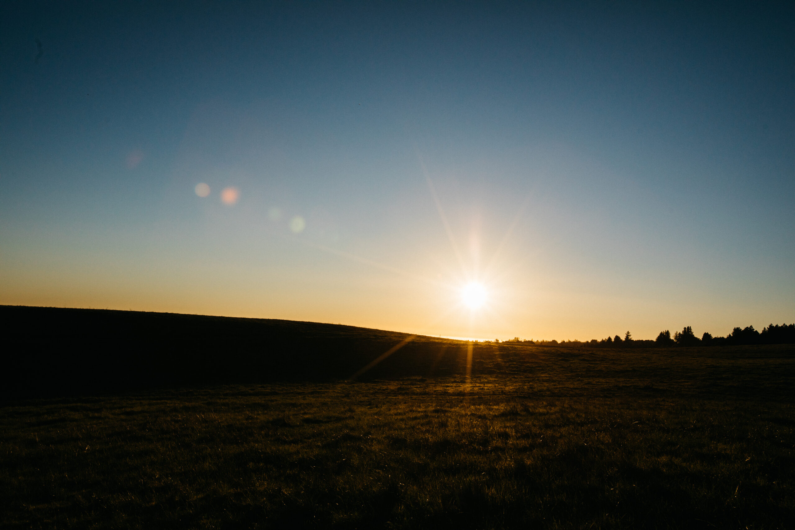 sunset at UC Santa Cruz
