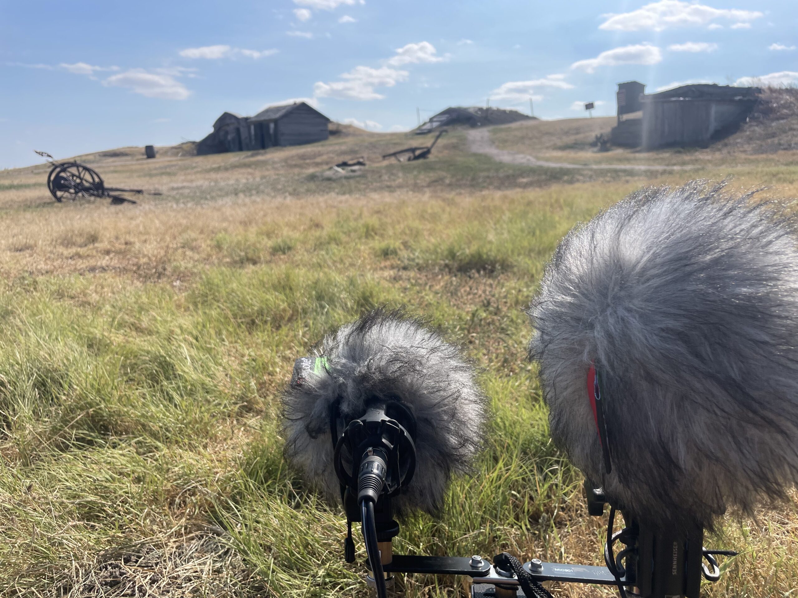 Using a stereo microphone and an ambisonic microphone, I recorded many locales and field recordings to capture an ethnobotanical trail and medicinal plant identification guide in the Badlands area of South Western South Dakota. Photo by H. Jayanti.