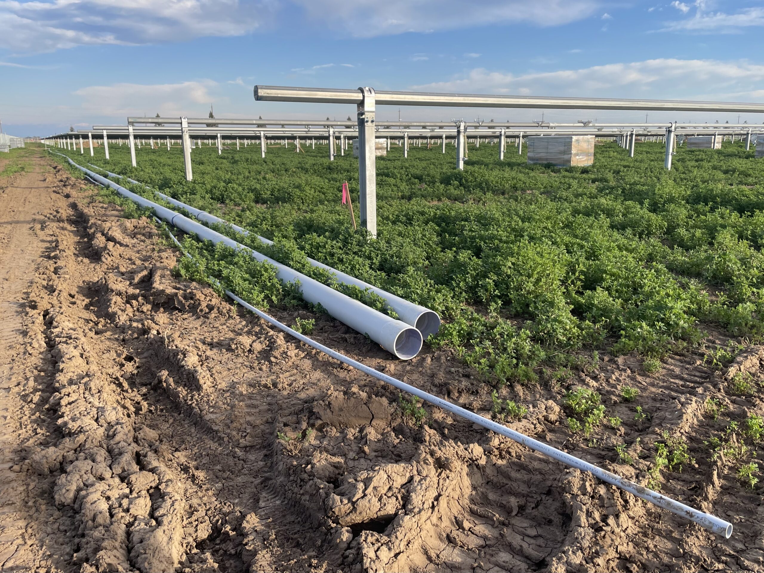 Solar facilities were under construction on a fallowed land in Fresno County that was previously a peach farm. Photo by S. Luo.